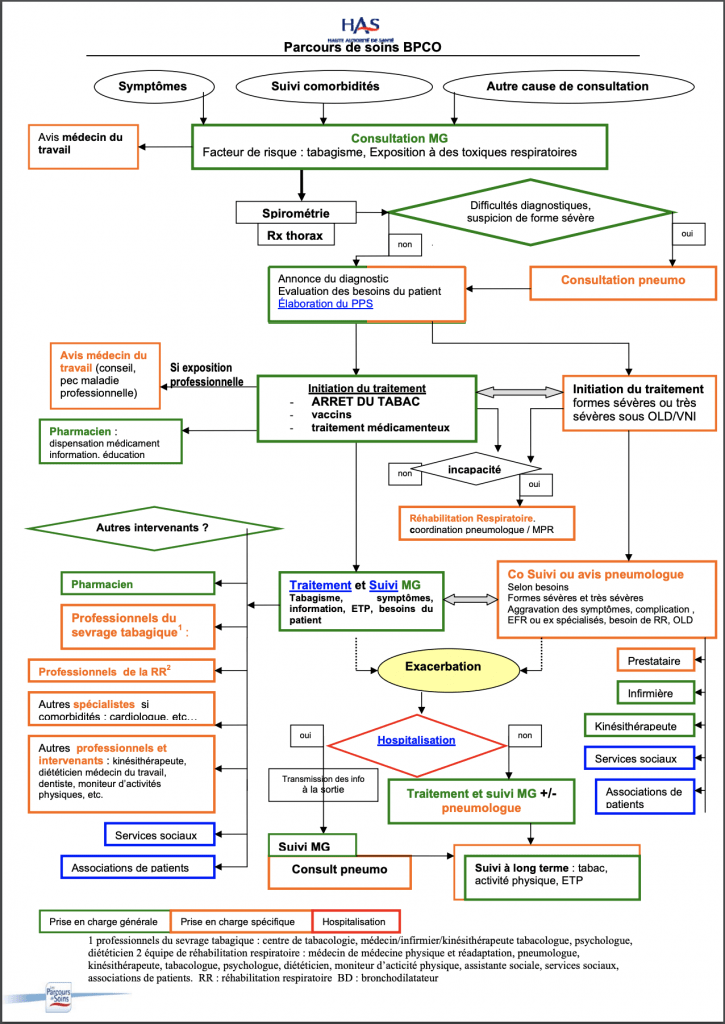 Télécharger le shéma du parcours de soins BPCO
